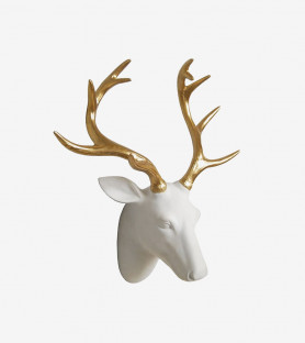 Integer pharetra elit eget