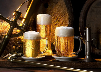 Morbi condimentum molestie Nam enim odio sodales