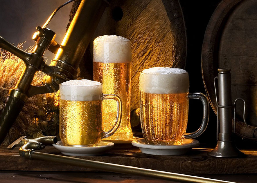 Morbi condimentum molestie Nam enim odio sodales