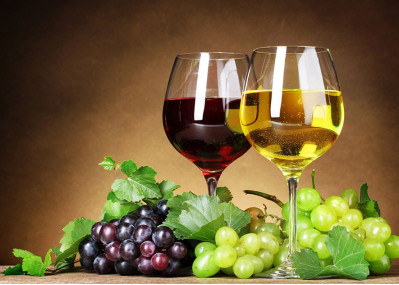 Nullam ullamcorper nisl quis ornare molestie