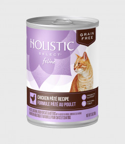 Sed cursus vestibulum