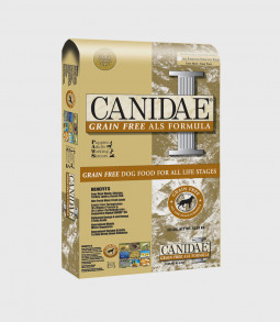 convallis justo consectetur