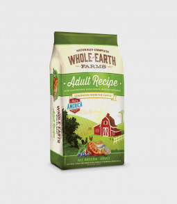 Suspendisse eget magna