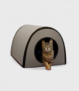 convallis justo consectetur