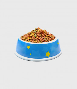 Integer pharetra elit eget