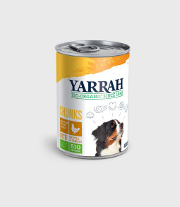 Proin vitae mi pretium
