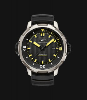 Integer pharetra elit eget