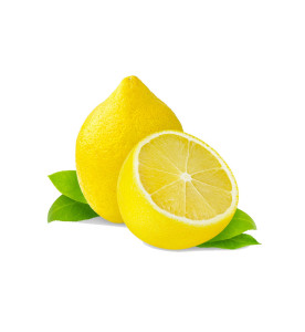 Sapien tempor facilisis