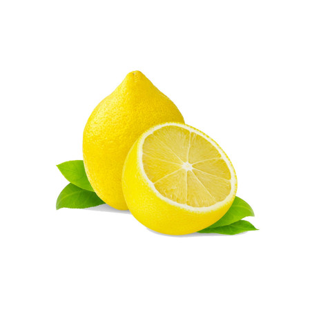 Sapien tempor facilisis