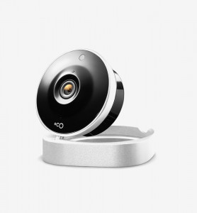 Nulla eget elit ullamcorper