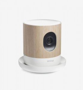 Maecenas in nulla a diam