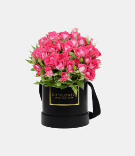 Vivamus vitae magna quis