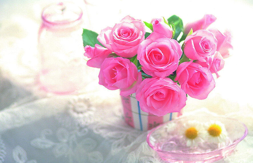 Urna pretium elit mauris cursus Curabitur at elit Vestibulum