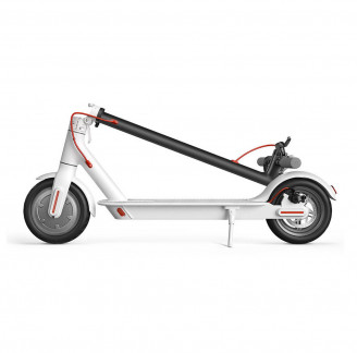 convallis justo consectetur