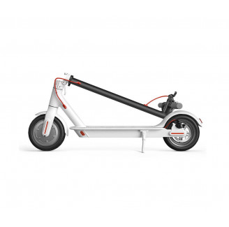 Aenean quis sem iaculis