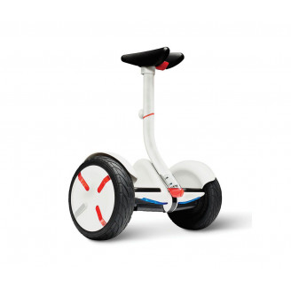 Proin vitae mi pretium nibh